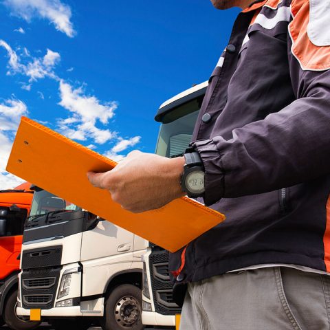 چاپ و با استفاده از طراحان گرافیک است