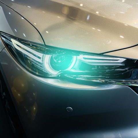 چاپ و با استفاده از طراحان گرافیک است